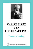 mehring marx internacional color